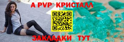 крисы Лесной